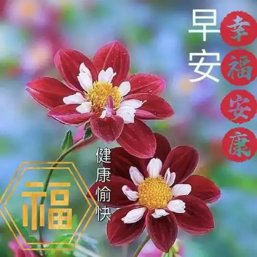 早安图片,早安祝福图片问候语录,暖心的问候语温馨祝福 - 暖暖的早安