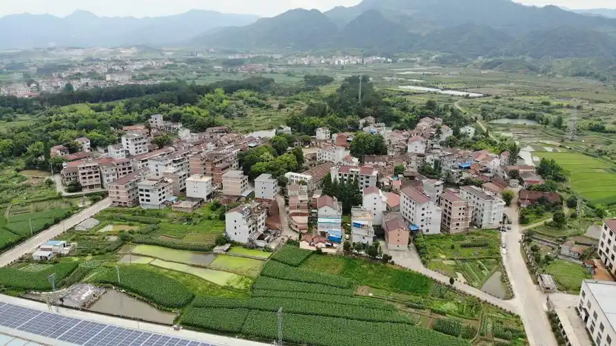 近年来,振兴乡村计划