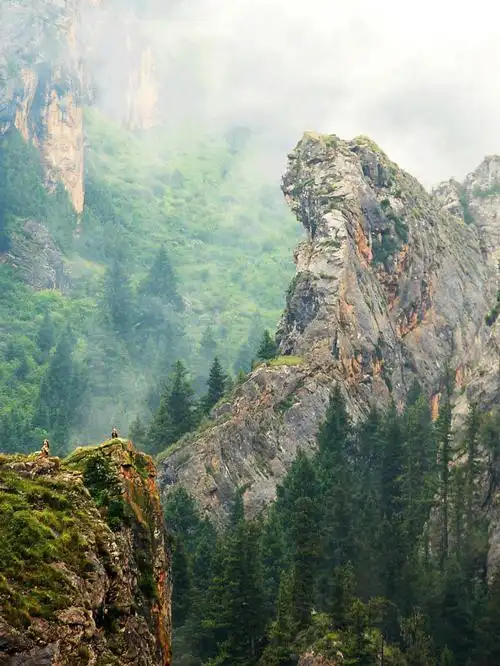 每日名胜|甘肃·则岔石林景区