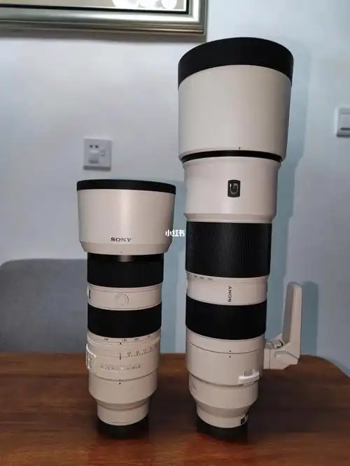 送自己的圣诞礼物-索尼fe200-600g镜头