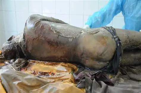 火葬场火化尸体图片_裕安图片网