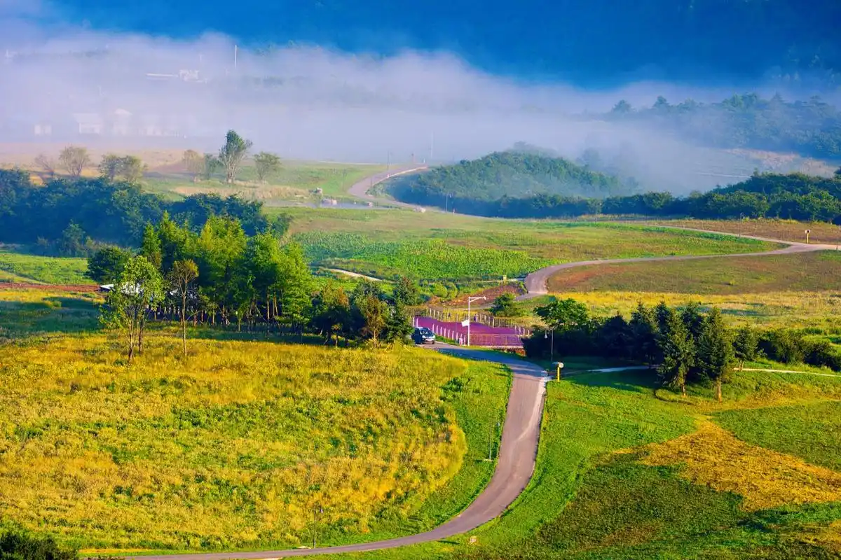 重庆红池坝国家森林公园坐落于巫溪县西北角,是一座国家级森林公园和