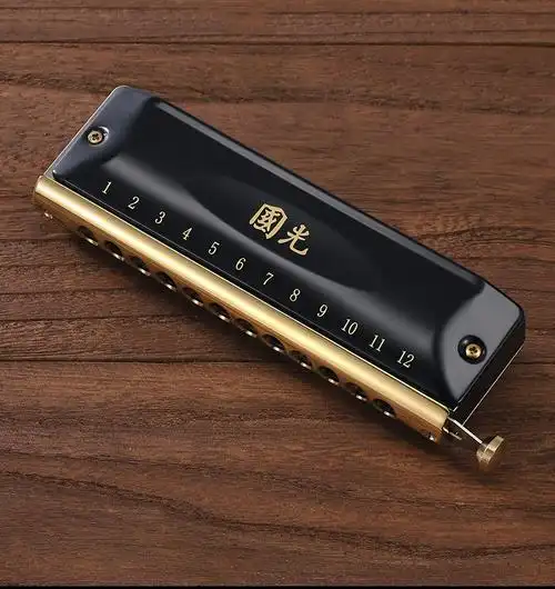 德国进口音簧国之梦12孔半音阶口琴演奏级 国之梦12孔半音阶口琴 c调