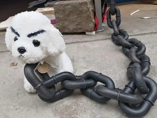 恶犬看门,最萌的脸要配最凶的表情