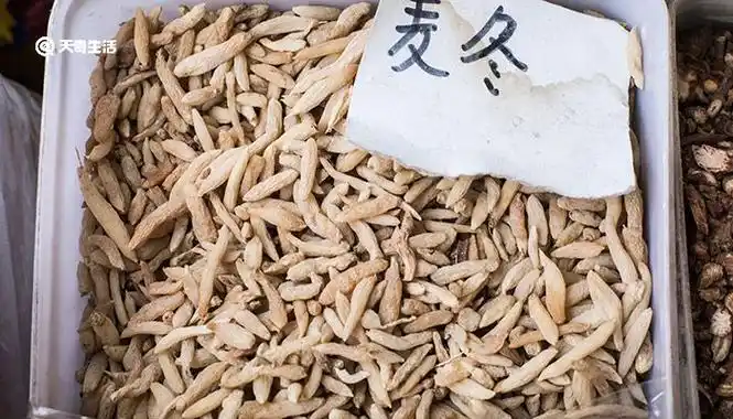 麦冬的功效与作用