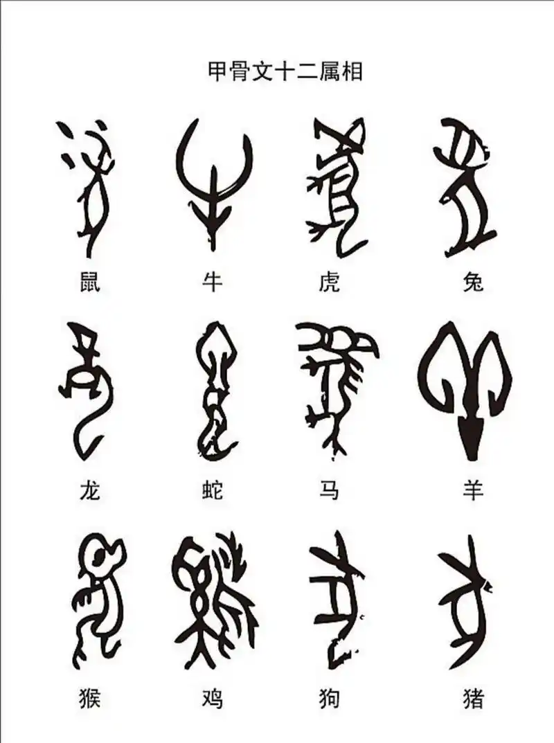 甲骨文十二生肖中猴的造型为什么和其他是相反的呢?