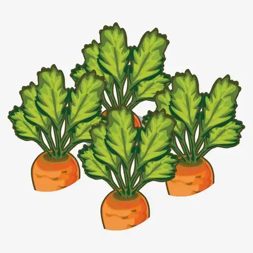 蔬菜,绿色食品,健康食品,新鲜,卡通蔬菜,胡萝卜