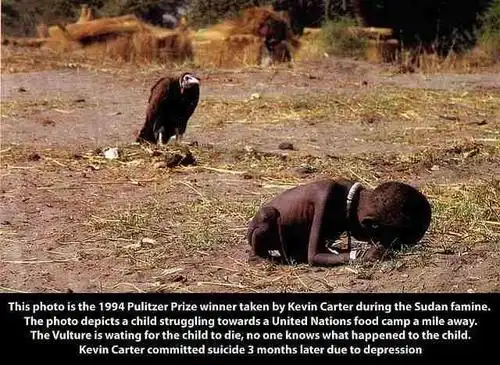 据凯文·卡特后来说,正当他蹲下来拍照时,一只秃鹫落在镜头里.