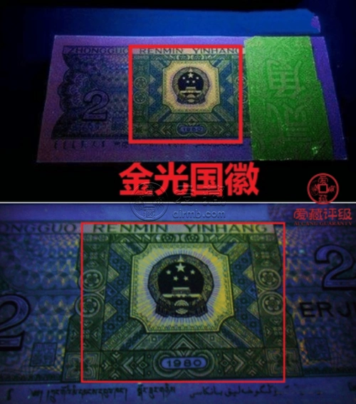 8002荧光币品种有几种8002荧光币品种介绍