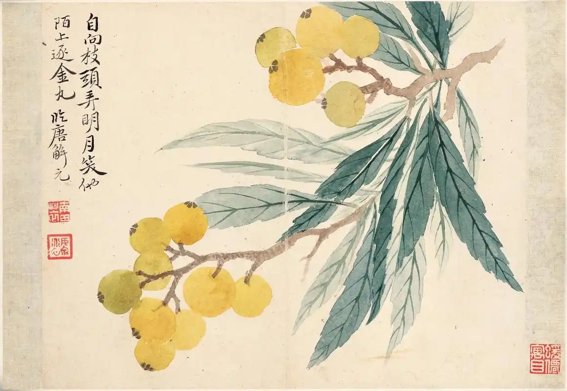 清代花鸟没骨大家恽寿平的作品欣赏,感受文人画家眼里的小清新画 - 抖