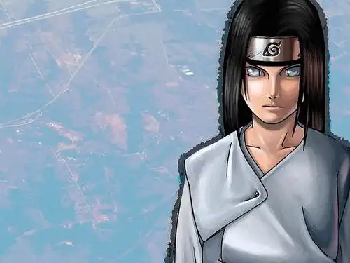 长大后的日向宁次,无比的帅气!