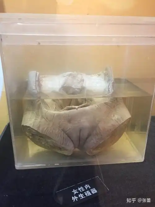 来,和我一起去探索北京自然博物馆