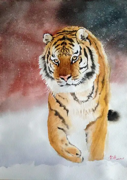 水彩老虎