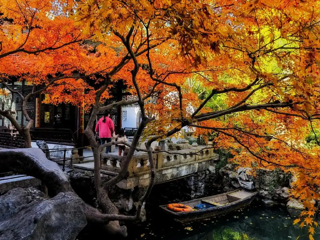 苏州怡园,小情怡于园.#图文伙伴计划 #图文星火训练营 #我 - 抖音