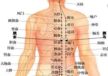 深圳"柳安堂"气血点穴按摩术理疗班开课了 你还在等什么呢