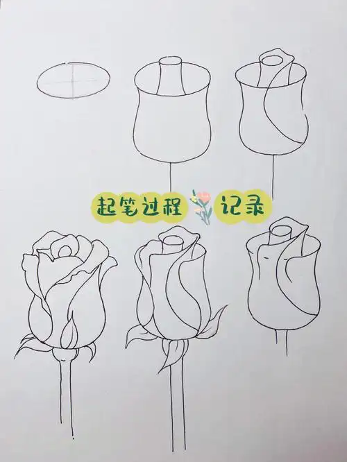 绘画  #画画  #玫瑰花束  #绘画过程