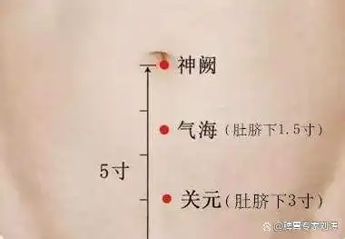 了,我给大家分享三个穴位提升脾胃之气,分别是关元穴,气海穴和神阙穴