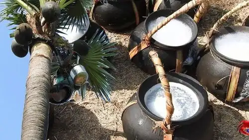 世界上最大的平衡板,凭实力说服众人,让人大开眼界