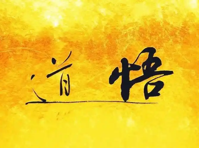 物竞天择使我开悟