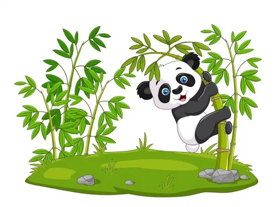 憨态可掬的身影真的好可爱06 今天小编把这些漂亮可爱的大熊猫免抠