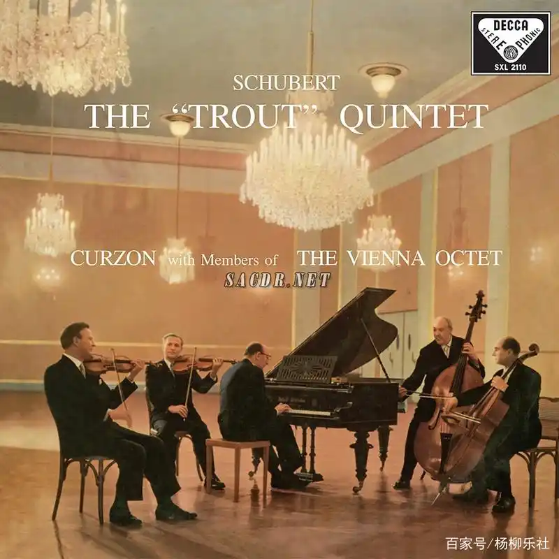 22岁的舒伯特也能如此优秀|a大调弦乐钢琴五重奏《鳟鱼》