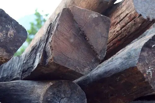 友尚木业大量出售进口缅甸酸枝白酸枝原木批发