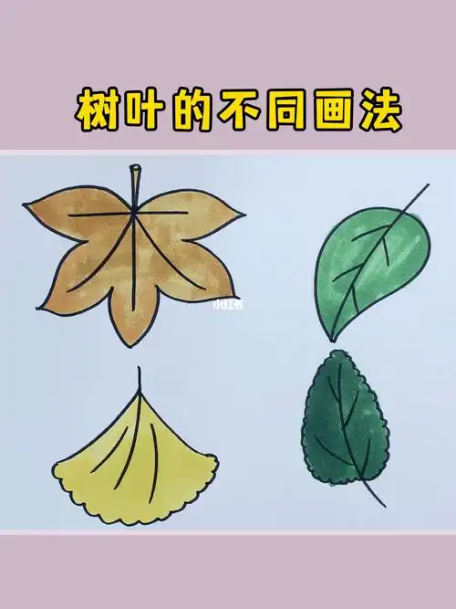树叶的几种简单画法