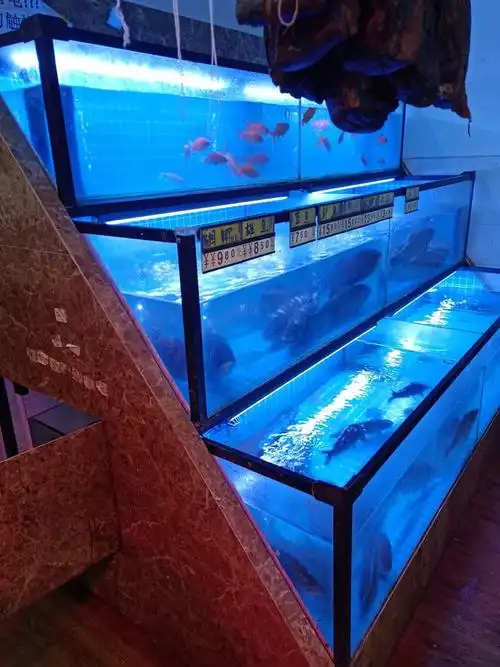 海鲜鱼缸设计制作 湘西饭店海鲜池电话