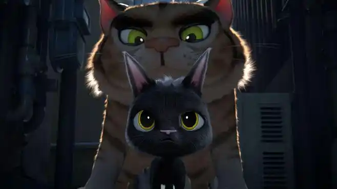 黑猫鲁道夫_电影剧照_图集_电影网_1905.com