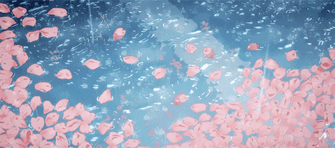 500_222gif 动态图 动图