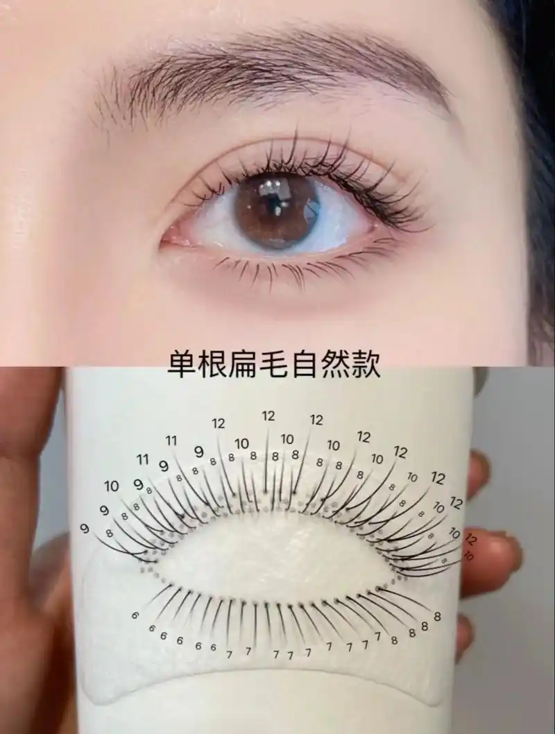 经典单根款排序图来咯!#嫁接睫毛 #美睫 #美睫师 #单根睫 - 抖音