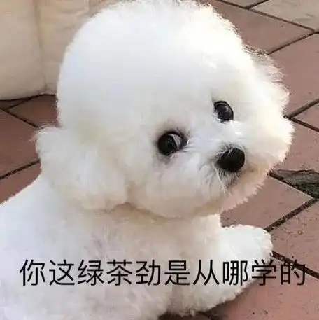 学绿茶怎么说英语口语 学绿茶怎么说英语口语好