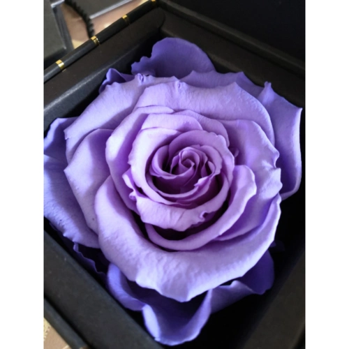 paraella紫色永生花玫瑰花高端礼盒同城鲜花速递情人节礼物生日纪念日