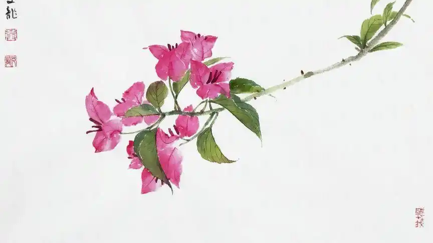 写生三角梅,勒杜鹃.#国画勒杜鹃