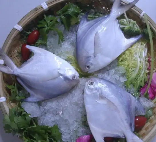 去头燕鱼4.99元/斤