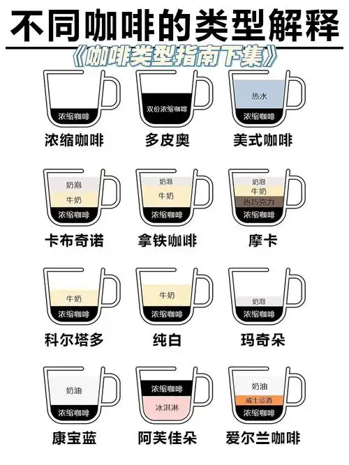 咖啡类型指南下集接着看接着学92