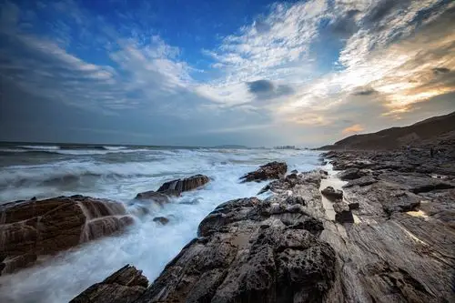 盐洲岛上的黑排角