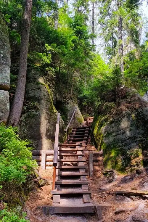莫干山,位于浙江省湖州市德清县境内,因其四季如春,竹海茫茫,山泉清澈