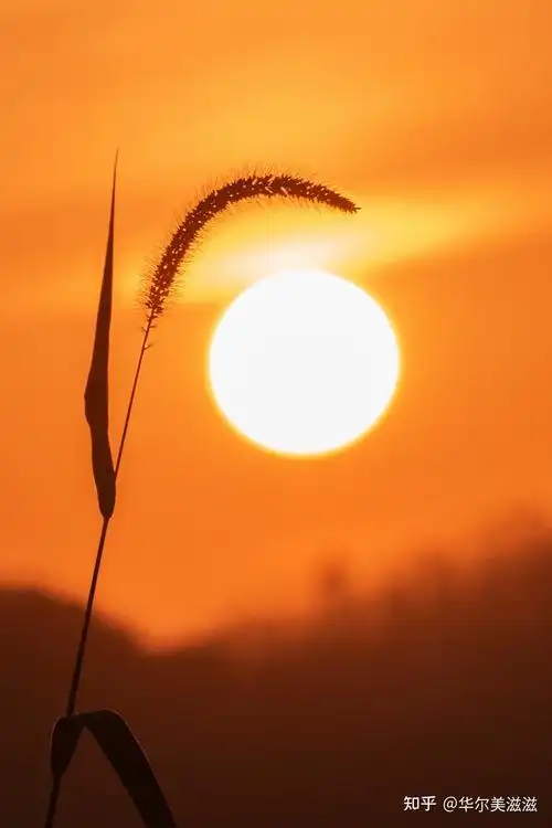 夕阳无限好 只是近黄昏 赏理查·施特劳斯之《日落》 - 知乎