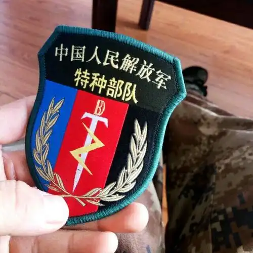 发布于2016-03-16 09:30   最佳答案 很明白呀,这就是特种部队的臂