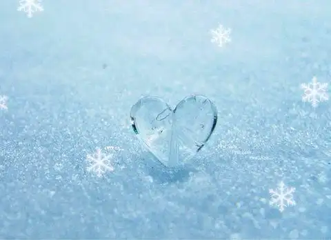 已冰封的心是什么意思