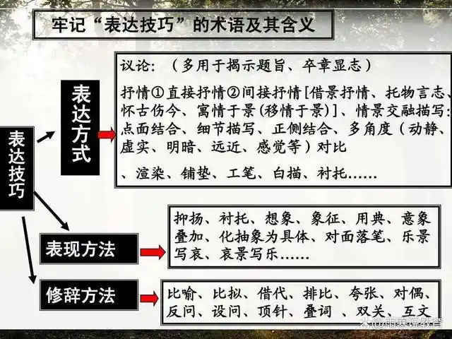 什么是表现手法