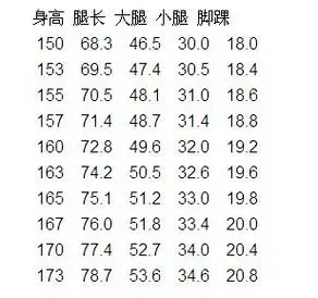 女性的身材标准