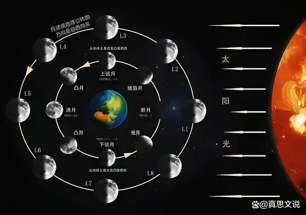 从新月到满月的周期约为14.77天,这个时间段也被称为月亮的朔望周期.