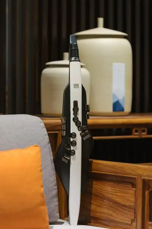 罗兰roland2022新款ae20电吹管ae10升级aerophon蓝牙竖笛指法c调e电