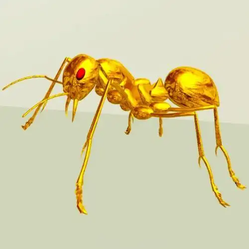 蚂蚁短视频开发系统