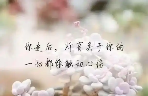 彻底绝望伤心的句子短句_(伤心绝望很扎心的句子)