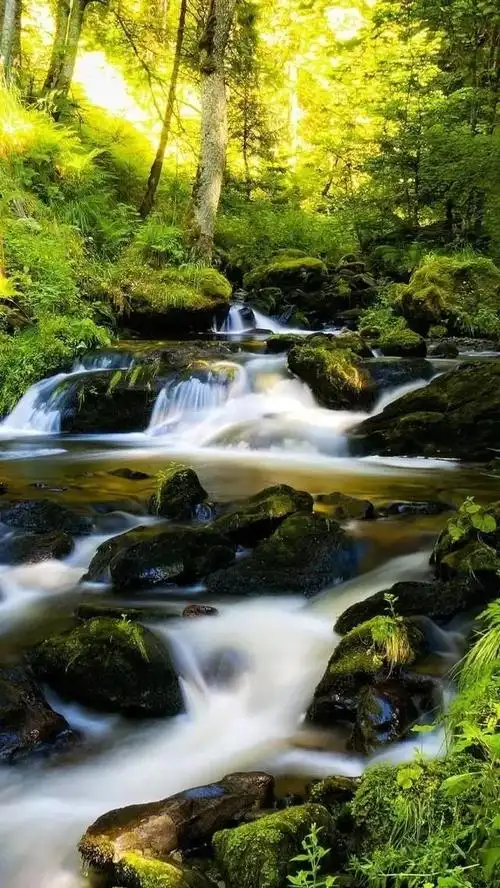 唯美水面背景图,水面风景图片(90幅高山流水的自然风景图)