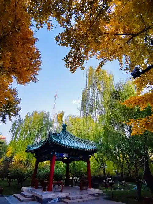 深秋时节第一次去月坛公园