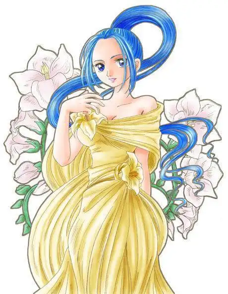 薇薇海贼王简笔画